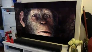 شکل1- بررسی تلویزیون OLED