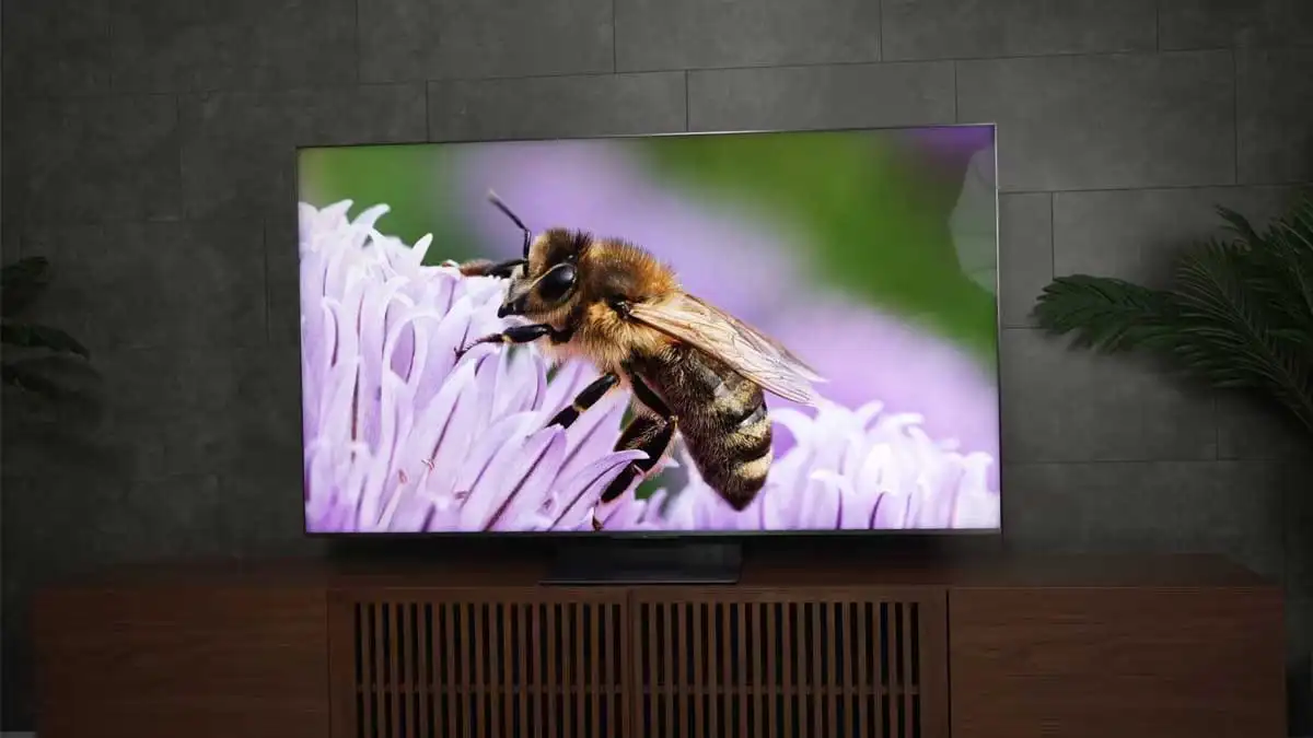 شکل1- تلویزیون TCL QM9K