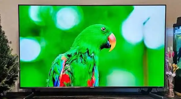 شکل2- پنل Mini LED با وضوح 4K